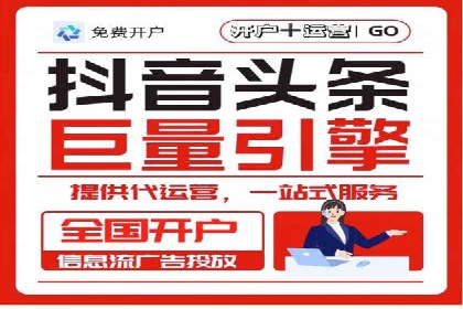 顶级SEM运营公司案例分析