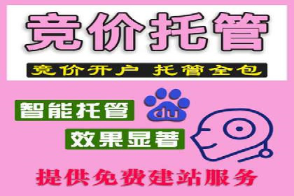 信息流托管在社交媒体营销中的应用案例