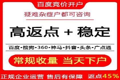 SEM广告创意与执行：成功案例分享